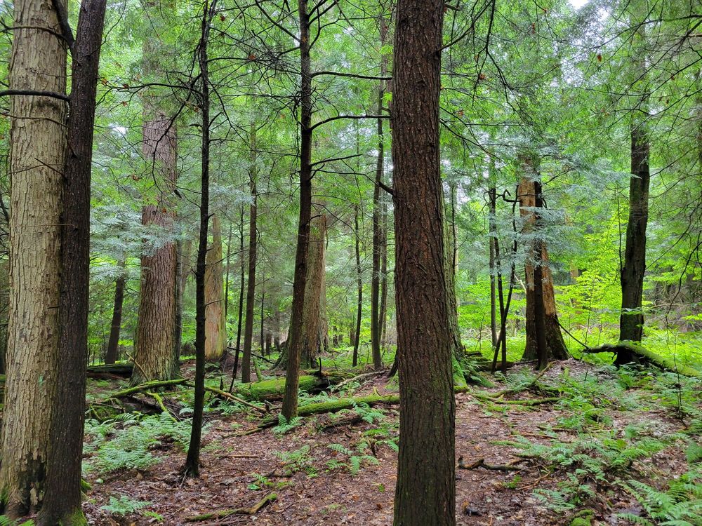 HEARTS CONTENT SCENIC AREA 12 Photos Pleasant Dr, Warren