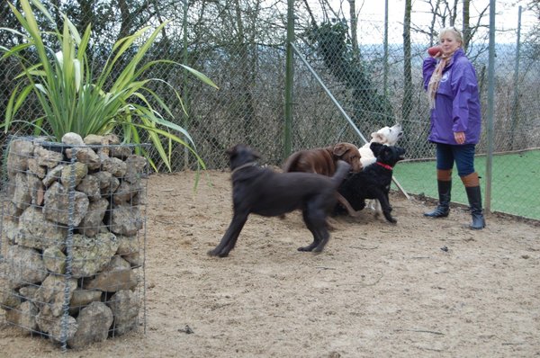 Tarbay Centre Kennels And Cattery