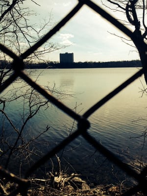 Fresh Pond by null