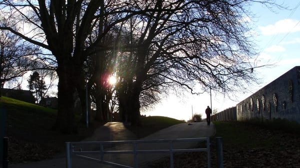 Victoria Park by null