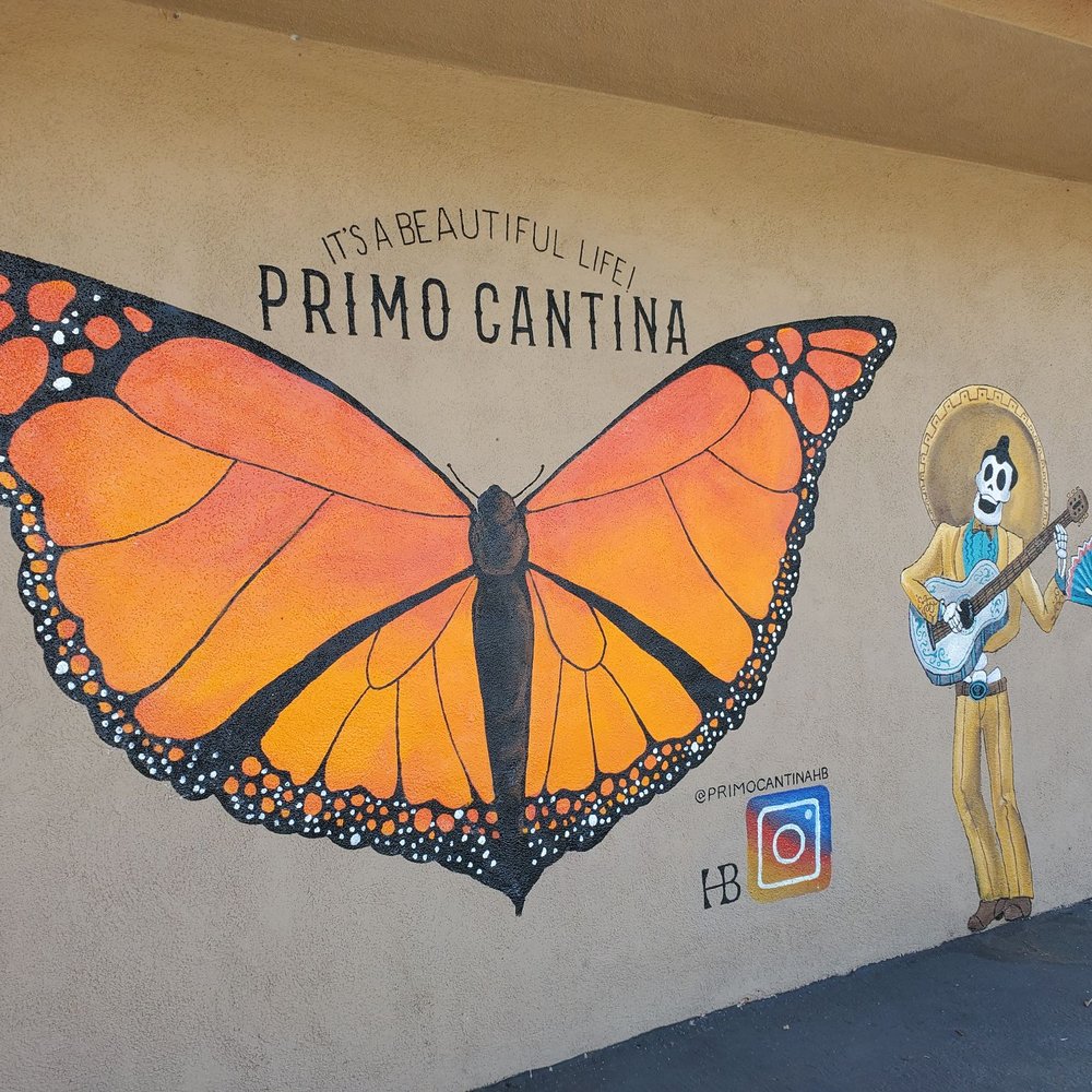 OC Murals by Amy - Commissioned Artists Near Me