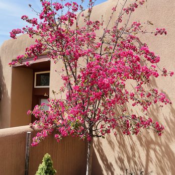 Casa Colibri - Vacation Rentals Near Me Casa Colibri - Vacation Rentals Near Me