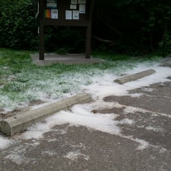 Lewis & Clark Trail State Park - Cottonwood everywhere.