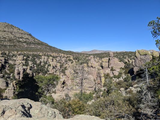 Chiricahua National Monument by null