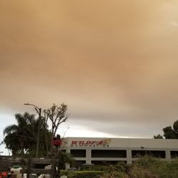 Wildfire Gymnastics - Interesting name given today's OC wildfires