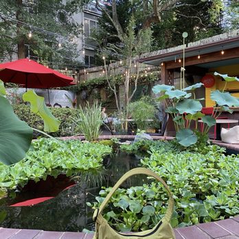 Dilworth Tasting Room - Outdoor patio/koi pond! - Bars Near Me - Charlotte, North Carolina Dilworth Tasting Room - Outdoor patio/koi pond! - Bars Near Me - Charlotte, North Carolina