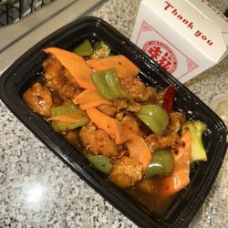 VeGreen2Go - General T'So chicken