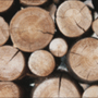 Photo of Beko's Trees Llc & Wood Carving