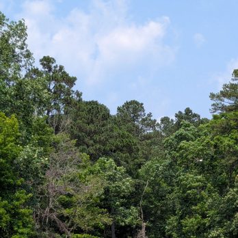 Jordan Lake Tours - Boat Tours Near Me - Moncure, North Carolina