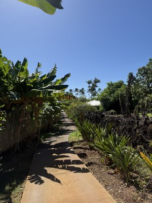 Kalapaki Joe's Poipu by null