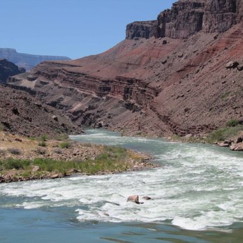 Arizona Raft Adventures - Tours Near Me - Flagstaff, Arizona