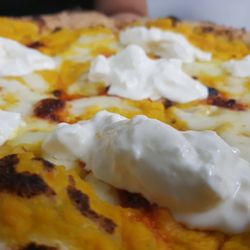 Il Segreto di Pulcinella