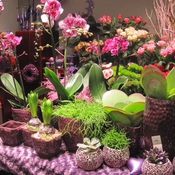 Creaflor - Florists Near Me - Woluwe-Saint-Pierre, BRU