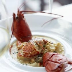 Tapas Bar - Lobster thermidor