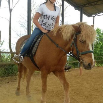 ASD Il Destriero - Horseback Riding Near Me - Buonconvento, SI