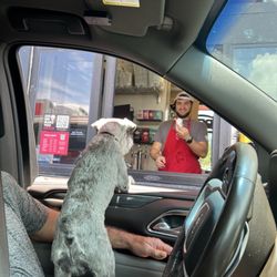 Pup cup time!