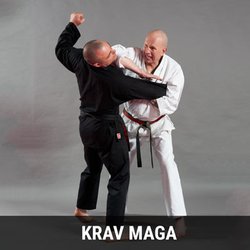 Billy Manne Martial Arts - Billy has trained many years in Krav Maga