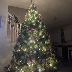 Nelson Christmas Trees