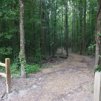 Constitution Lakes Park and Wilderness Area - Unimproved path to the lakes and a newer boardwalk. Lots of mud. - Parks Near Me - Atlanta, Georgia Constitution Lakes Park and Wilderness Area - Unimproved path to the lakes and a newer boardwalk. Lots of mud. - Parks Near Me - Atlanta, Georgia