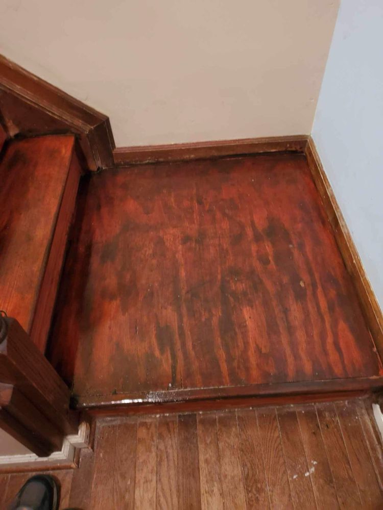 Slide of Saeli Remodeling