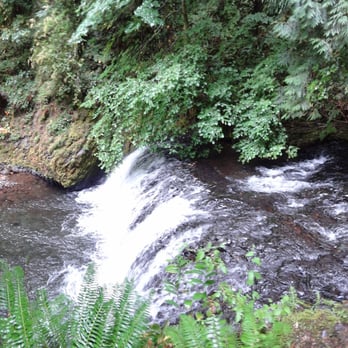 Wahkeena Falls Loop Trail - Hiking Near Me - Troutdale, Oregon Wahkeena Falls Loop Trail - Hiking Near Me - Troutdale, Oregon