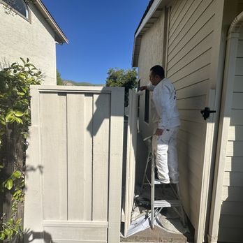Life Time Painting - Mario doing extra diligence - Painters Near Me