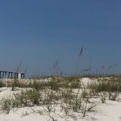 Friends Of Camp Helen-Kayak Rental