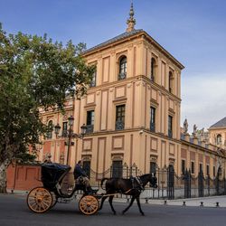Totally Spain & Portugal - A traditional horse-drawn carriage passes the magnificent Royal Alcázar of Seville, one of Spain's architectural treasures.