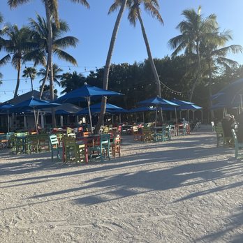 Morada Bay Beach Café - EMPTY AND BAD SERVICE - Caribbean Near Me - Islamorada, Florida Morada Bay Beach Café - EMPTY AND BAD SERVICE - Caribbean Near Me - Islamorada, Florida