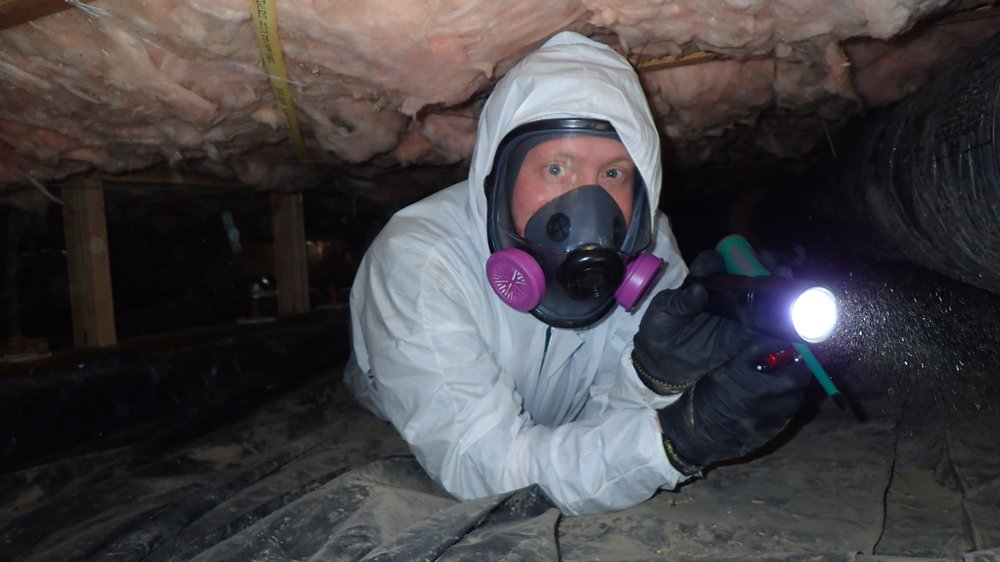 Nonprofit Home Inspections - mold inspector in Portland, OR