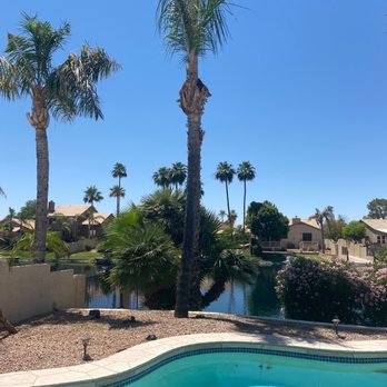 Yahweh tree and landscape - Trimmed palm. - Tree Services Near Me Yahweh tree and landscape - Trimmed palm. - Tree Services Near Me