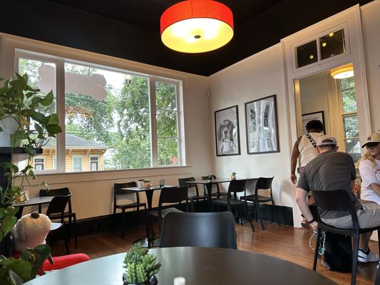 Fur Bébé Cafe by null
