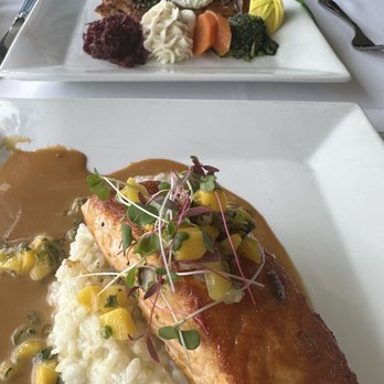 Roessler's Restaurant - Salmon - Modern European Near Me - Sarasota, Florida