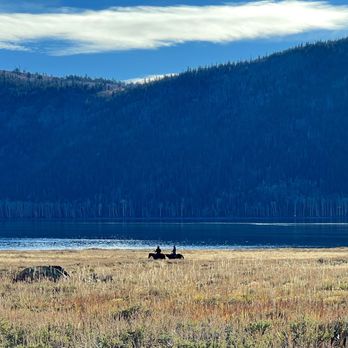Fish Lake National Forest - Ranchers came in and herded a stray cow while we visited - they were SO nice! - Hiking Near Me - Loa, Utah Fish Lake National Forest - Ranchers came in and herded a stray cow while we visited - they were SO nice! - Hiking Near Me - Loa, Utah