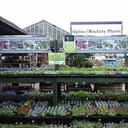 Hollybush Garden Centre & Aquaria