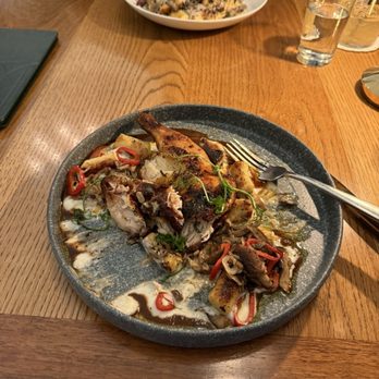Credence - 1/2 Roasted Chicken over gnocchi - New American Near Me - Houston, Texas