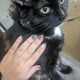 Manicure pose next to my cat Manicure pose next to my cat
