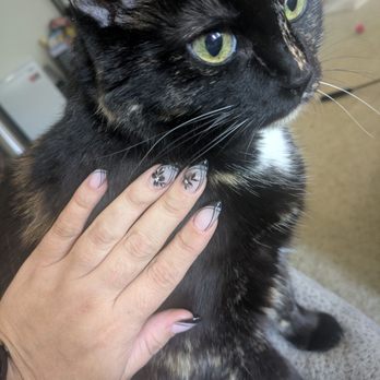 Nailogy Lab - Manicure pose next to my cat - Nail Salons Near Me - Placentia, California Nailogy Lab - Manicure pose next to my cat - Nail Salons Near Me - Placentia, California