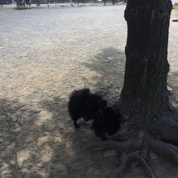 Baron Cameron Dog Park - Seperate pens for big and small pups! - Dog Parks Near Me - Reston, Virginia