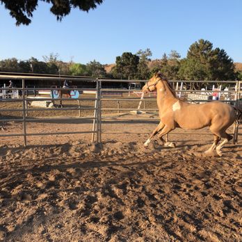Peacock Hill Equestrian Center - Horse Boarding Near Me - Orange, California Peacock Hill Equestrian Center - Horse Boarding Near Me - Orange, California