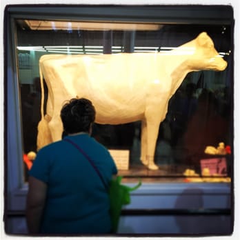Iowa State Fair - The official butter cow! - Festivals Near Me - Des Moines, Iowa Iowa State Fair - The official butter cow! - Festivals Near Me - Des Moines, Iowa