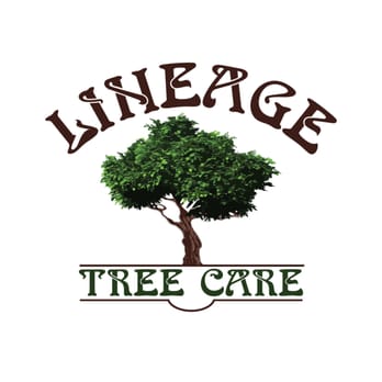 Lineage Tree Care LLC - Tree Services Near Me - Monroe, Washington Lineage Tree Care LLC - Tree Services Near Me - Monroe, Washington
