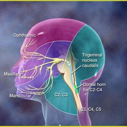 Pys Headache and Pain Clinic