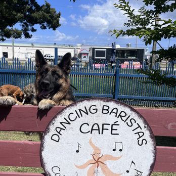 Dancing Baristas Café - Dog Run - Coffee & Tea Near Me - Beaufort, North Carolina