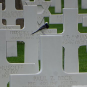 Netherlands American Cemetry - Landmarks & Historical Buildings Near Me - Margraten, LI