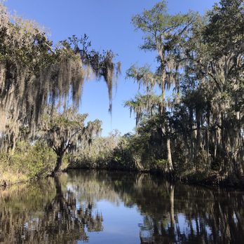 Airboat Adventures - On the airboats, you get beautiful views of the swamp. - Boat Tours Near Me - Lafitte, Louisiana