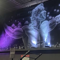 Powerhouse Gym - Arnold mural