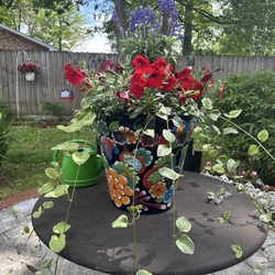 Cheryl's Flowers & Gifts - Plant delivered from Cheryl's