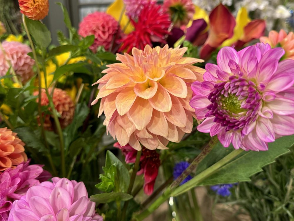 Truc Orient Express Restaurant