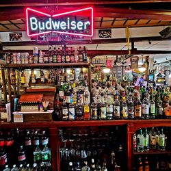 Hawg Dogs - Bar